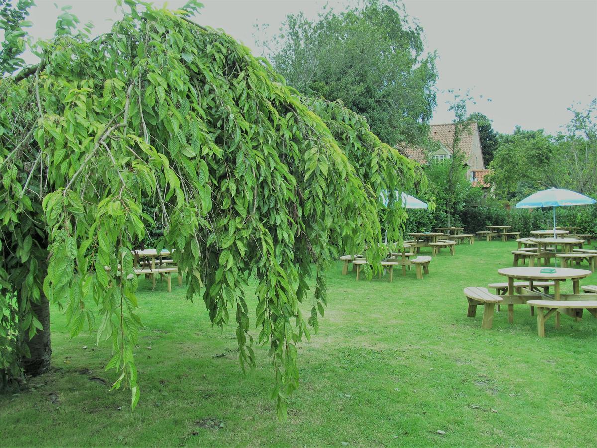 The Three Horseshoes Warham المظهر الخارجي الصورة